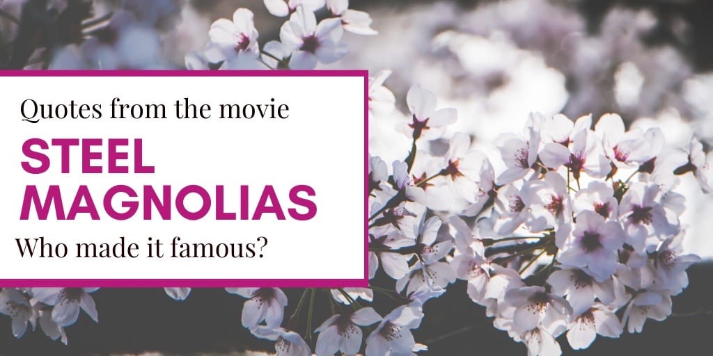 Steel Magnolias the movie