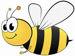 cute bee buzz fly