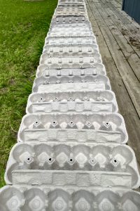 Recycle Egg Cartons
