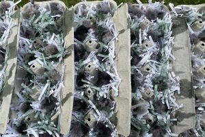 Waxed egg cartons to make 100% Recycled Fire Starters