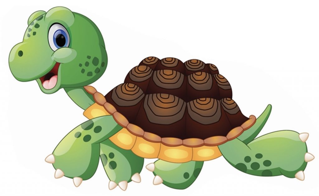 Peter the turtle walking
