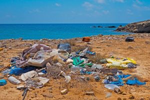 ocean and beach litter for plastic-free july