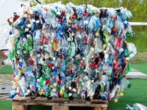 single-use water bottle waste for plastic-free July
