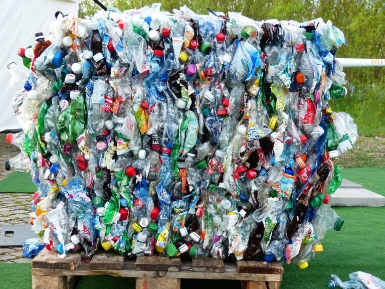 plastic-free july single-use water bottle pollution