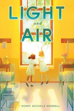 Light and Air Book Cover