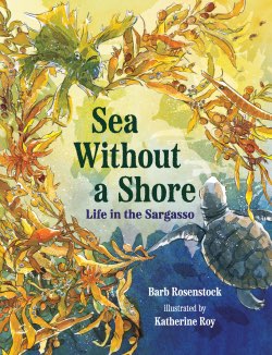 Sea Without a Shore book cover