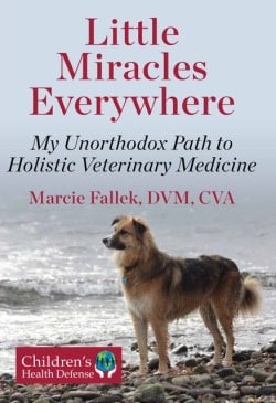 Little Miracles Everywhere book cover