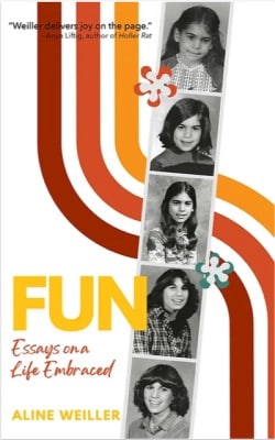 Fun Essays on a life embraced book cover