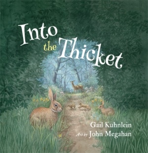 Into the Thicket book cover
