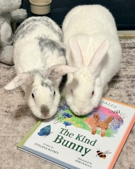 Kind Bunny instagram post graphic